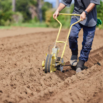 【連載】三浦大根命名100周年デザインプロジェクト③ふかふかの土から始まる『三浦大根』の種まき